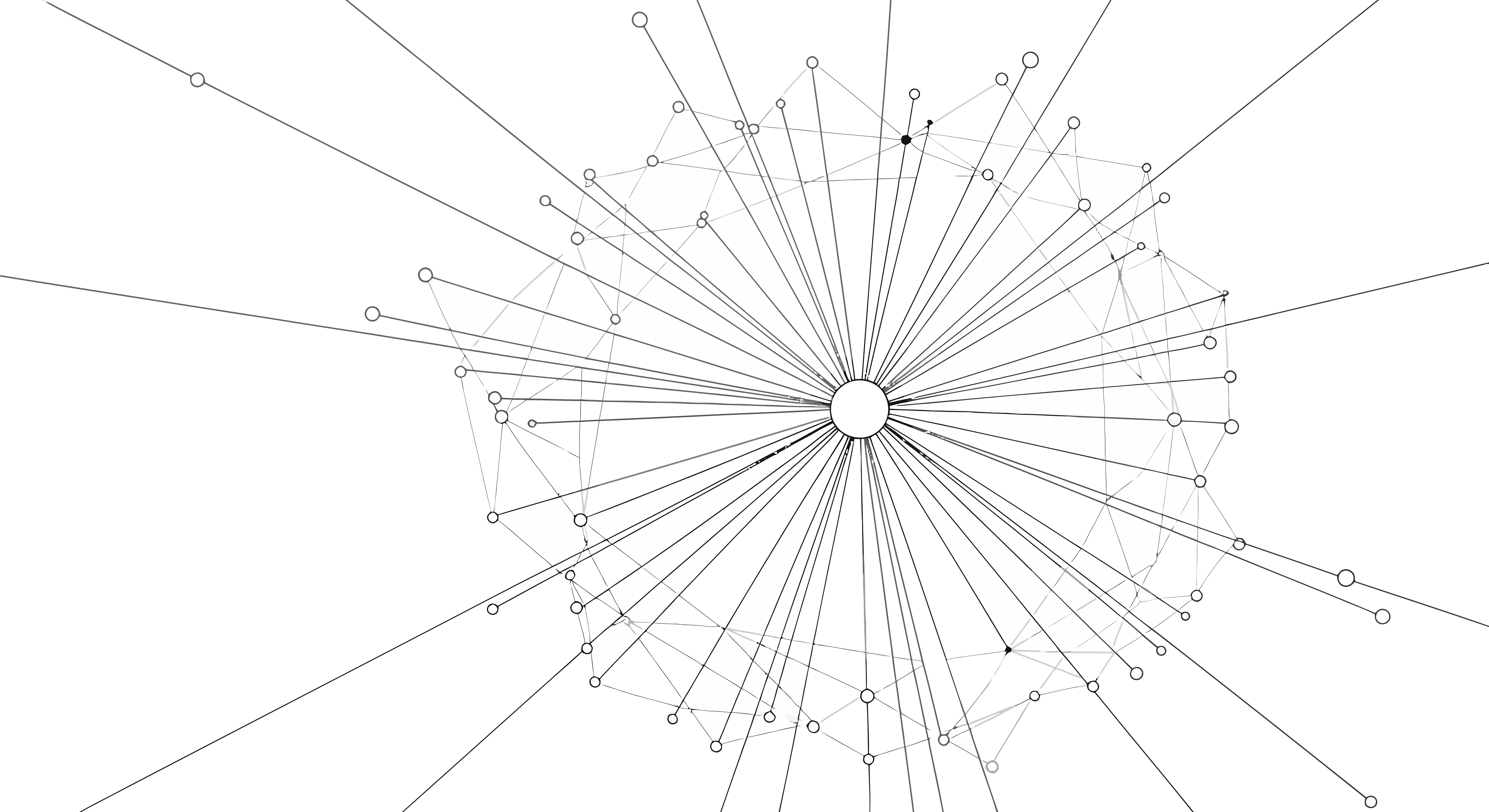 Central white node with numerous thin lines connecting to smaller white nodes on black background.