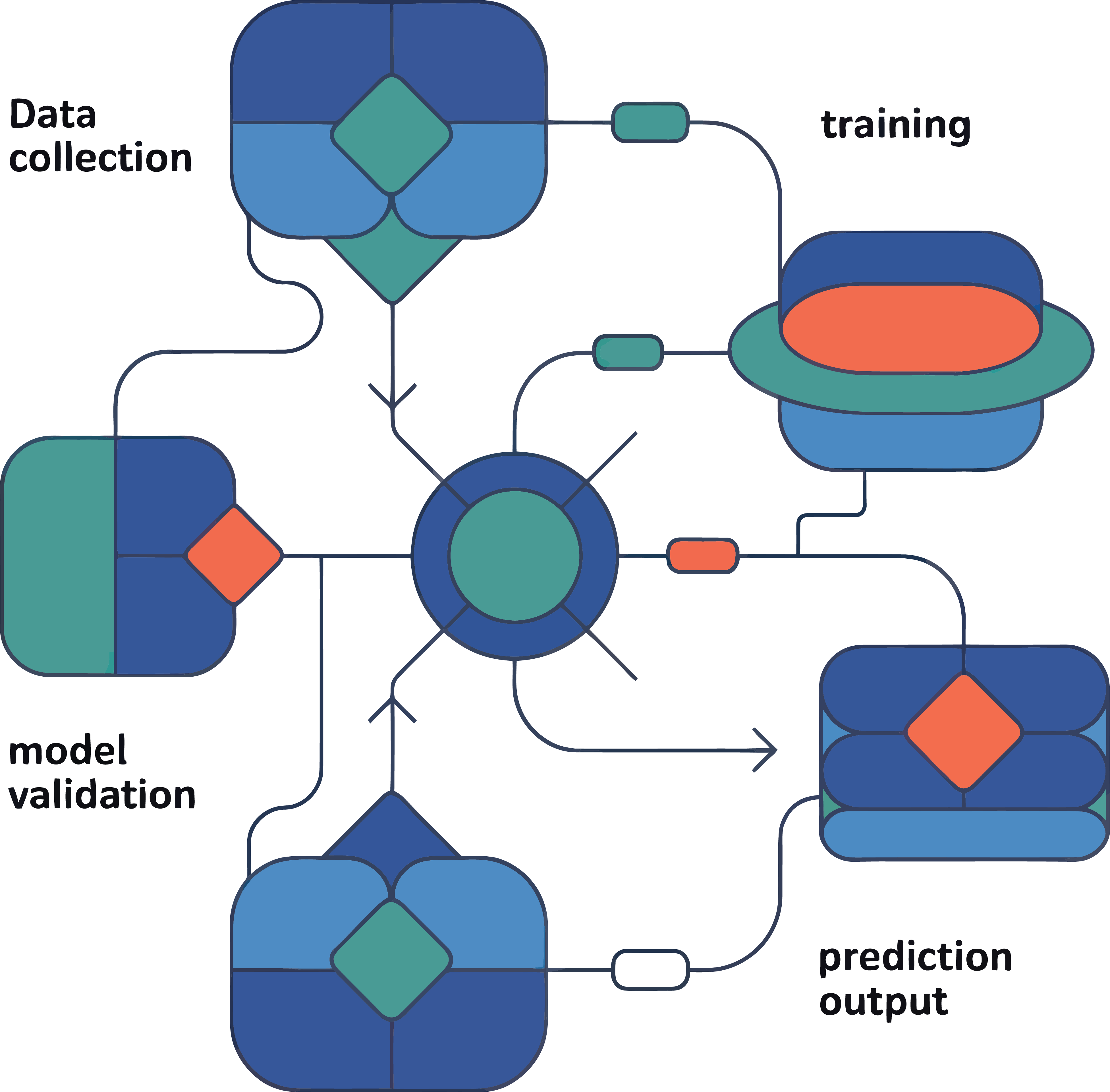 Flowchart showing steps of data collection, training, model validation, and prediction output in model workflow.